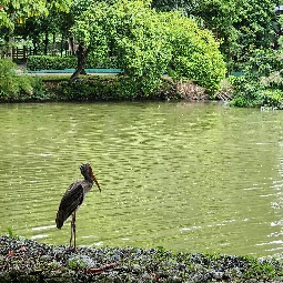 Kuala Lumpur Butterfly And Bird Parks Tour
